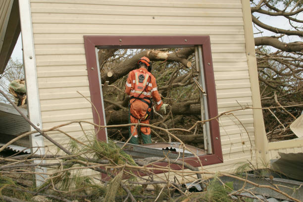 Best Tree Cabling and Bracing  in David City, NE